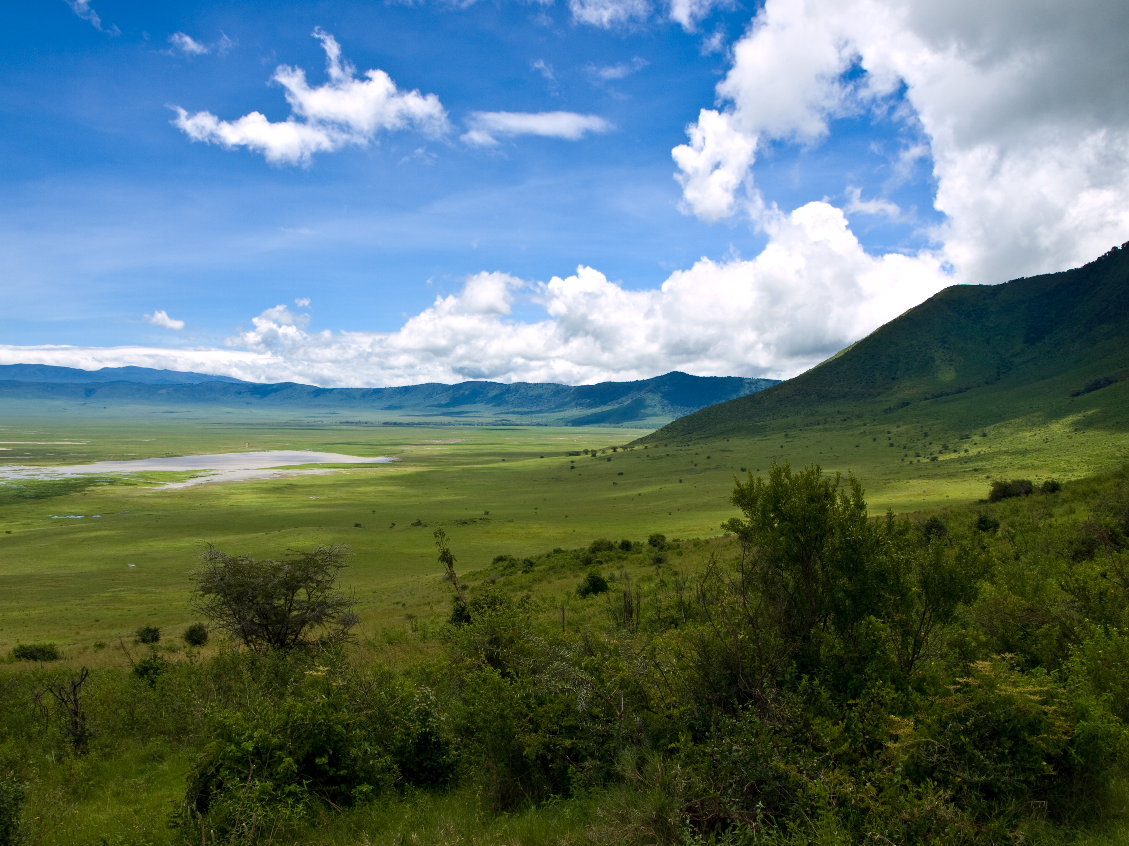 Northern Circuit Safari: The Classic Wildlife Spectacle