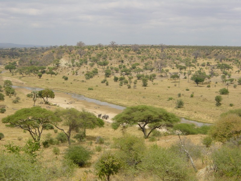 Eastern Circuit, Tanzania
