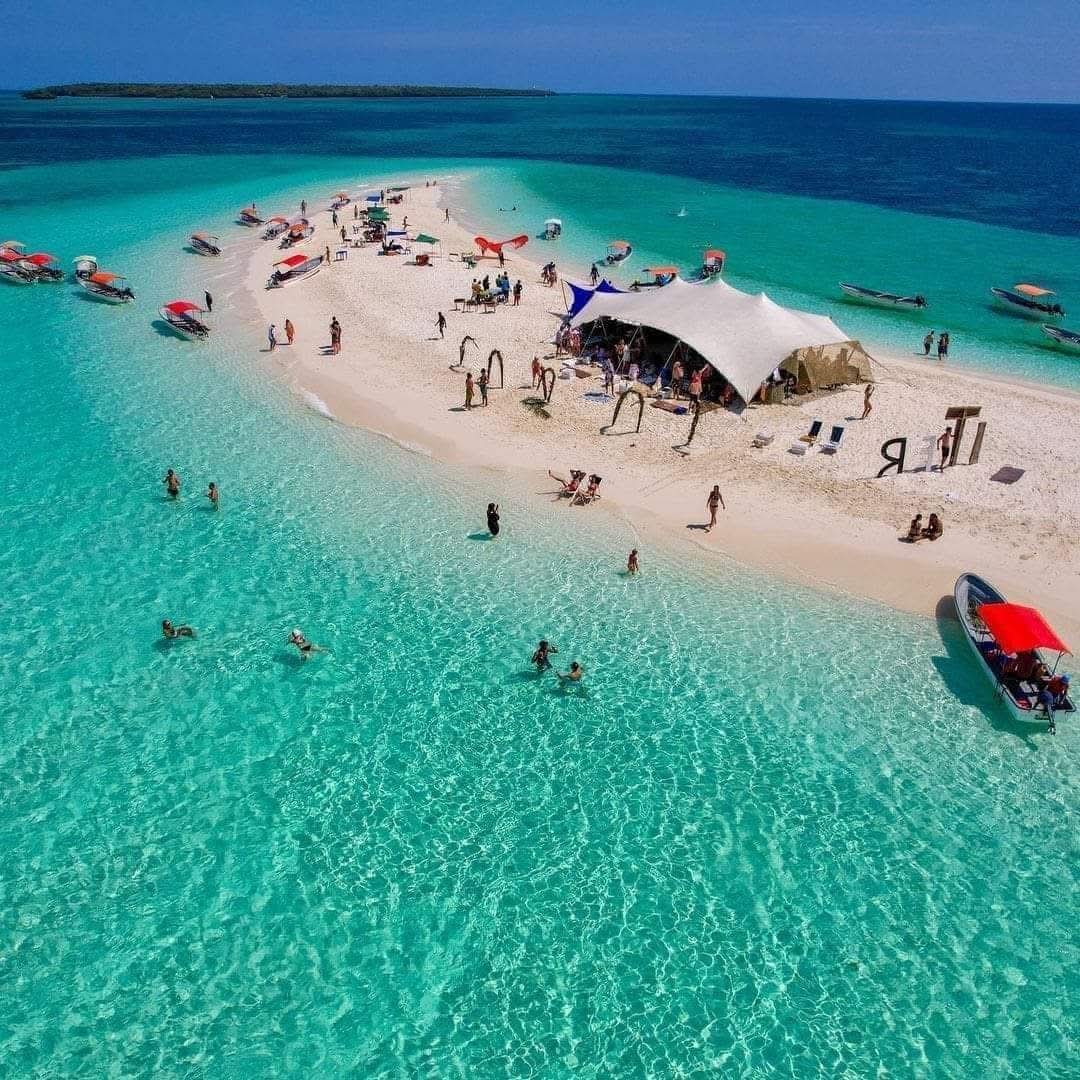 Zanzibar Expedition